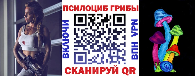 Купить  Ивантеевка  Псилоцибиновые грибы MAGIC MUSHROOMS 